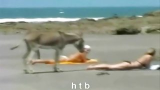 继续他妈的