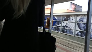 用于多肉鸡的取代肛门孔