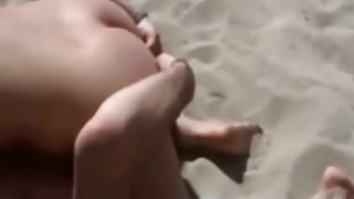 很酷的小鸡