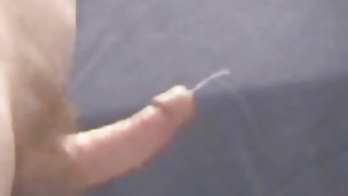 编译与可爱的小鸡，美丽的眼睛
