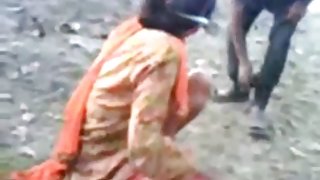 曲柄不会觉得无聊