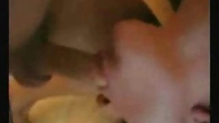 巴巴矮人兼任