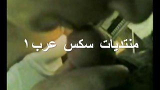 舔裂缝，种下